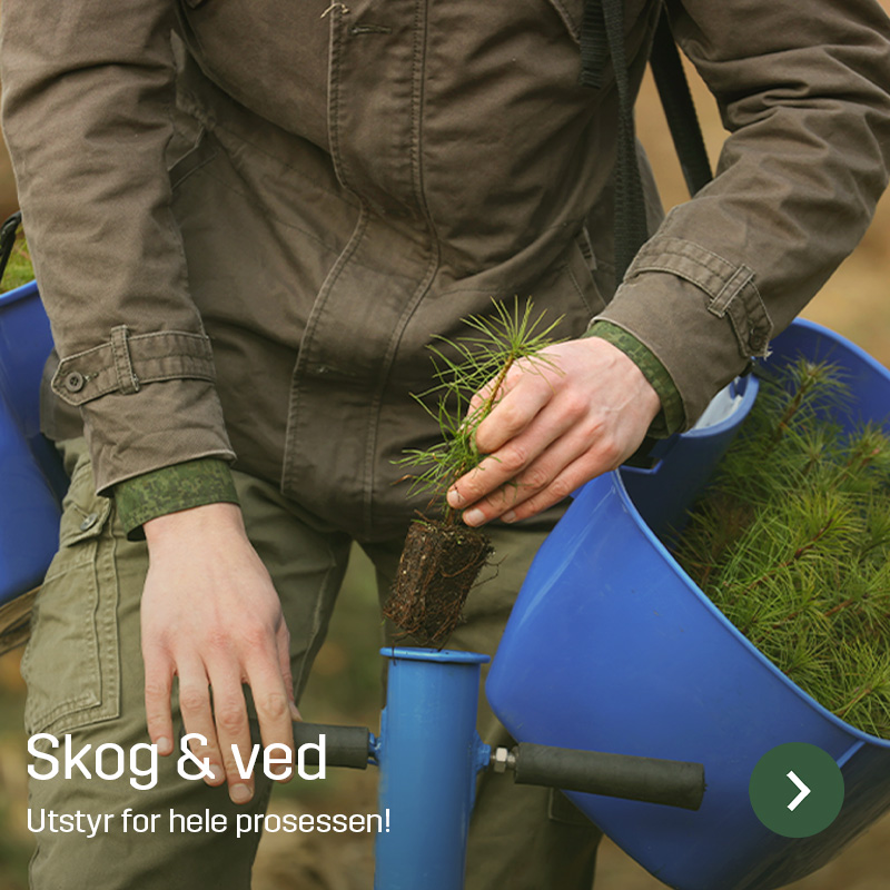 En person holder en liten bartreplante med synlig rotklump over et planterør. En blå beholder med flere planter står ved siden av. Sagros sortiment innen skogbruk omfatter utstyr til planting og skogsarbeid.
